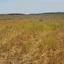 2330 SQM Land for sale in Psimolofou, Nicosia thumbnail 16182086