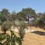 3 bedroom detached house for sale souni zanakia limassol 1927133 thumbnail 12393181