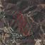 land for sale evrychou nicosia 1506133 thumbnail 15664045