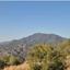 land for sale kinousa paphos 7533133 thumbnail 15596870