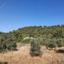 land for sale kinousa paphos 7533133 thumbnail 15596871