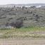 land for sale mitsero nicosia 1589133 thumbnail 16176784