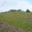 land for sale mitsero nicosia 1589133 thumbnail 16176787