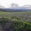 land for sale mitsero nicosia 1589133 thumbnail 16176793