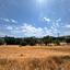plot for sale agios tychonas limassol 1917133 thumbnail 13282363