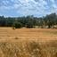 plot for sale agios tychonas limassol 1917133 thumbnail 13282366
