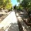 3 bedroom bungalow for sale aradippou larnaca 1557233 thumbnail 12650343