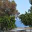 5 bedroom detached house for rent governors beach limassol 1075233 thumbnail 14916927