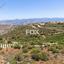 land for sale pano arodes paphos 1870233 thumbnail 16518733