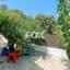 3 bedroom detached house for sale kritou tera paphos 1325333 thumbnail 14828294