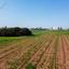land for sale paralimni famagusta 1336333 thumbnail 16992346