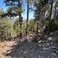 land for sale pedoulas nicosia 8140333 thumbnail 13391725