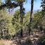 land for sale pedoulas nicosia 8140333 thumbnail 13391727
