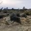 land for sale vasa kellakiou limassol 7500433 thumbnail 15596802