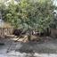 3 bedroom detached house for sale kiti larnaca 8307533 thumbnail 15654355