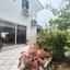 3 bedroom detached house for sale strovolos nicosia 1789533 thumbnail 17459910