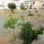 4 bedroom detached house for sale agia fyla limassol 1146533 thumbnail 5497216