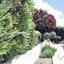 5 bedroom detached house for sale kato paphos paphos 8959533 thumbnail 17782392