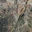 land for sale agrokipia nicosia 8374533 thumbnail 14602963