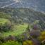land for sale akoursos paphos 8628533 thumbnail 16717249