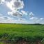 land for sale malounta nicosia 1744533 thumbnail 4766198