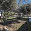 land under offer giolou paphos 1668533 thumbnail 14187064