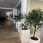 studio office for rent linopetra limassol 8890533 thumbnail 17320653