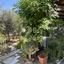 3 bedroom detached house for rent faneromeni larnaca 8711633 thumbnail 16290362