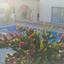 3 bedroom detached house for sale kissonerga paphos 1354633 thumbnail 5604845