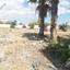 6 bedroom detached house for sale aradippou larnaca 7905633 thumbnail 14377397