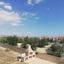 6 bedroom detached house for sale aradippou larnaca 7905633 thumbnail 15447638