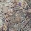 land for sale analiontas nicosia 1653633 thumbnail 5215062