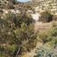 land for sale koilani limassol 826633 thumbnail 15600977