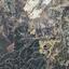 land for sale mitsero nicosia 1638633 thumbnail 4154754