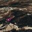 land for sale neo chorio paphos 1183633 thumbnail 14890024