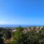 3 bedroom detached house for sale tala paphos 8966733 thumbnail 17844143