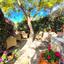 3 bedroom detached house for sale tala paphos 8966733 thumbnail 17844152