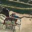 6355 SQM Land for sale in Kathikas, Paphos thumbnail 15995112