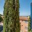 2 bedroom apartment for sale tala paphos 7737833 thumbnail 13697440