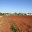 land for sale avgorou famagusta 8828833 thumbnail 16992602