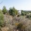 land for sale lythrodontas nicosia 8897833 thumbnail 17352692