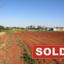 land sold avgorou famagusta 8828833 thumbnail 16992602