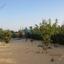 6 bedroom detached house for sale zygi larnaca 841933 thumbnail 5400358
