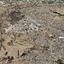 land for sale aradippou larnaca 8981933 thumbnail 17947083