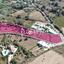 land for sale drousia paphos 7812933 thumbnail 10643948