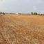 land for sale pera orinis nicosia 1627933 thumbnail 12514637