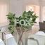 3 bedroom ground floor apartment for sale prodromi paphos 8473043 thumbnail 15214839