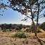 land for sale nea dimmata paphos 8957043 thumbnail 17771818