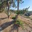 land for sale nea dimmata paphos 8957043 thumbnail 17771820