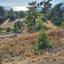 land for sale nea dimmata paphos 8957043 thumbnail 17771823